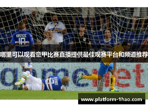 哪里可以观看意甲比赛直播提供最佳观赛平台和频道推荐