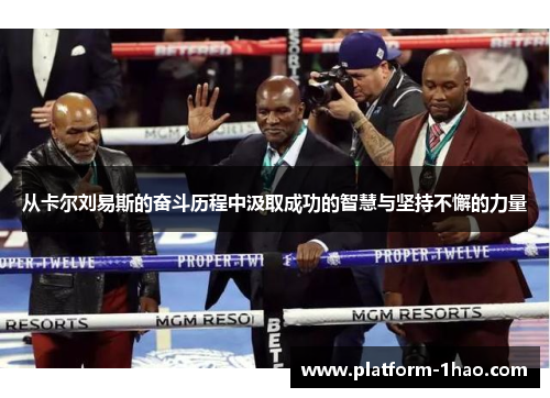 从卡尔刘易斯的奋斗历程中汲取成功的智慧与坚持不懈的力量 从卡尔刘易斯的奋斗历程中汲取成功的智慧与坚持不懈的力量