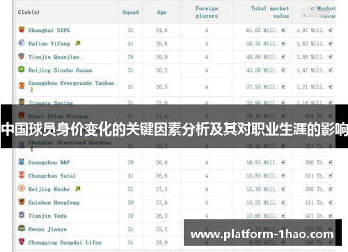 中国球员身价变化的关键因素分析及其对职业生涯的影响 中国球员身价变化的关键因素分析及其对职业生涯的影响