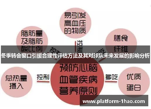冬季转会窗口引援合理性评估方法及其对球队未来发展的影响分析 冬季转会窗口引援合理性评估方法及其对球队未来发展的影响分析
