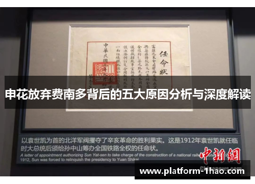 申花放弃费南多背后的五大原因分析与深度解读