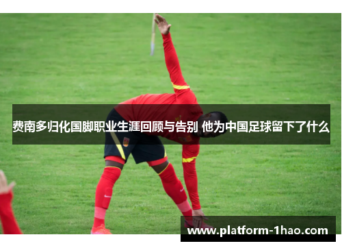 费南多归化国脚职业生涯回顾与告别 他为中国足球留下了什么 费南多归化国脚职业生涯回顾与告别 他为中国足球留下了什么