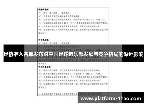 足协准入名单发布对中国足球俱乐部发展与竞争格局的深远影响 足协准入名单发布对中国足球俱乐部发展与竞争格局的深远影响