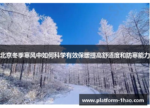 北京冬季寒风中如何科学有效保暖提高舒适度和防寒能力 北京冬季寒风中如何科学有效保暖提高舒适度和防寒能力