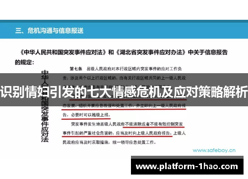识别情妇引发的七大情感危机及应对策略解析