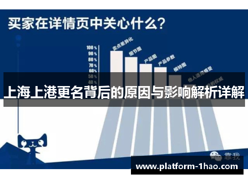 上海上港更名背后的原因与影响解析详解
