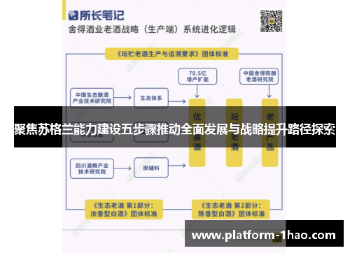 聚焦苏格兰能力建设五步骤推动全面发展与战略提升路径探索