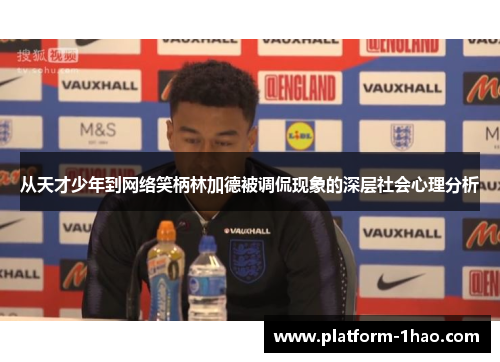 从天才少年到网络笑柄林加德被调侃现象的深层社会心理分析 从天才少年到网络笑柄林加德被调侃现象的深层社会心理分析