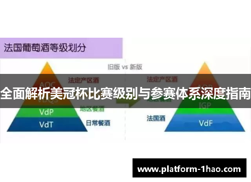 全面解析美冠杯比赛级别与参赛体系深度指南 全面解析美冠杯比赛级别与参赛体系深度指南