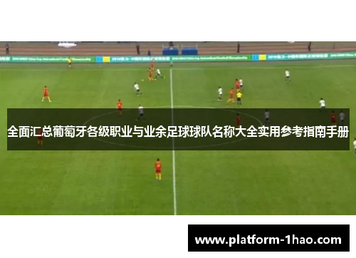 全面汇总葡萄牙各级职业与业余足球球队名称大全实用参考指南手册 全面汇总葡萄牙各级职业与业余足球球队名称大全实用参考指南手册