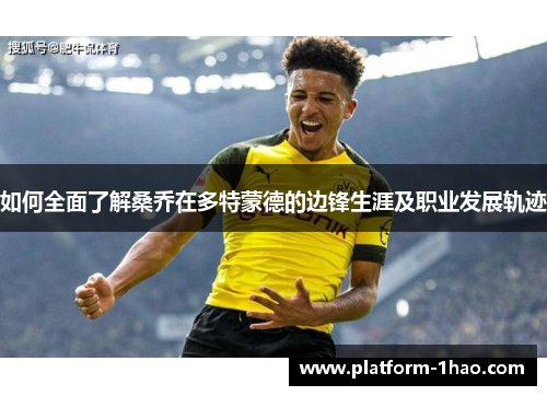 如何全面了解桑乔在多特蒙德的边锋生涯及职业发展轨迹 如何全面了解桑乔在多特蒙德的边锋生涯及职业发展轨迹