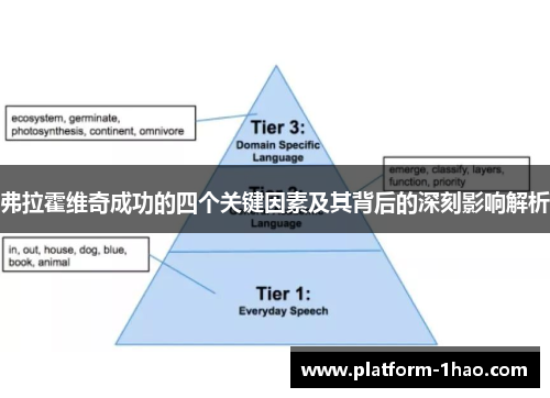 弗拉霍维奇成功的四个关键因素及其背后的深刻影响解析