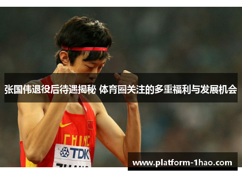 张国伟退役后待遇揭秘 体育圈关注的多重福利与发展机会