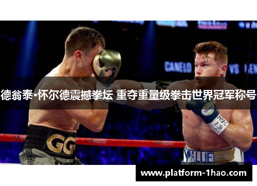 德翁泰·怀尔德震撼拳坛 重夺重量级拳击世界冠军称号