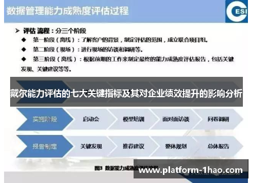 戴尔能力评估的七大关键指标及其对企业绩效提升的影响分析